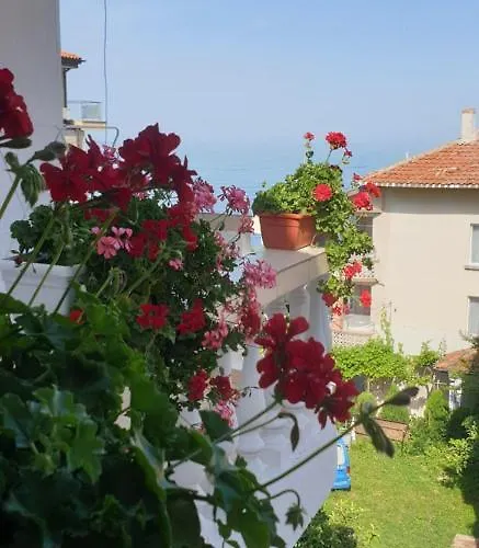 Primorsko Apartments * Primorsko